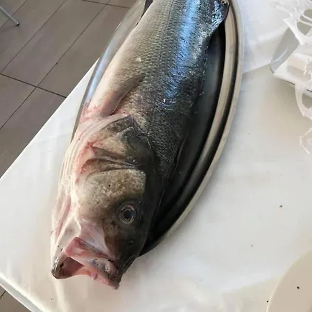 Appartement Duplex Luxury - Marina Sveva