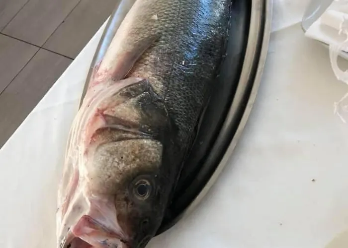 Lägenhet Duplex Luxury - Marina Sveva